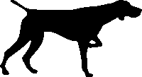 The Pointer Hint